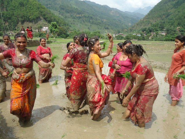 हराउदै असारे भाका