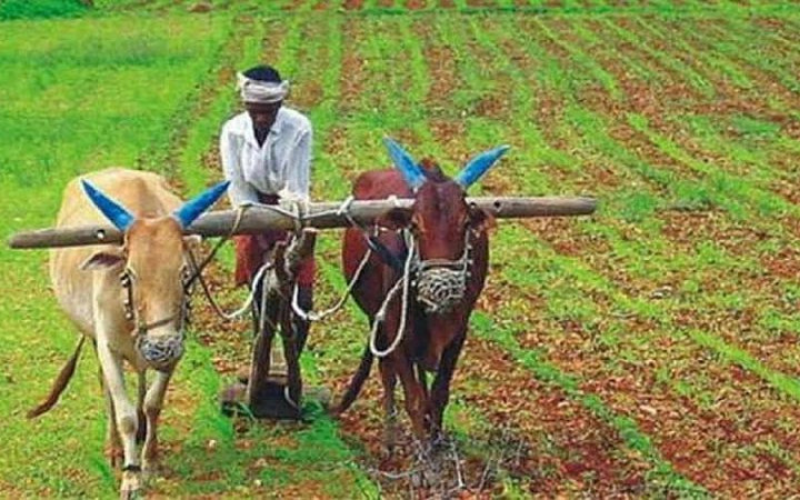 कमजोर कृषि, कमजोर खाद्य सम्प्रभुता