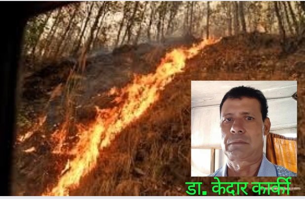 वनमा डढेलोको चिन्ता