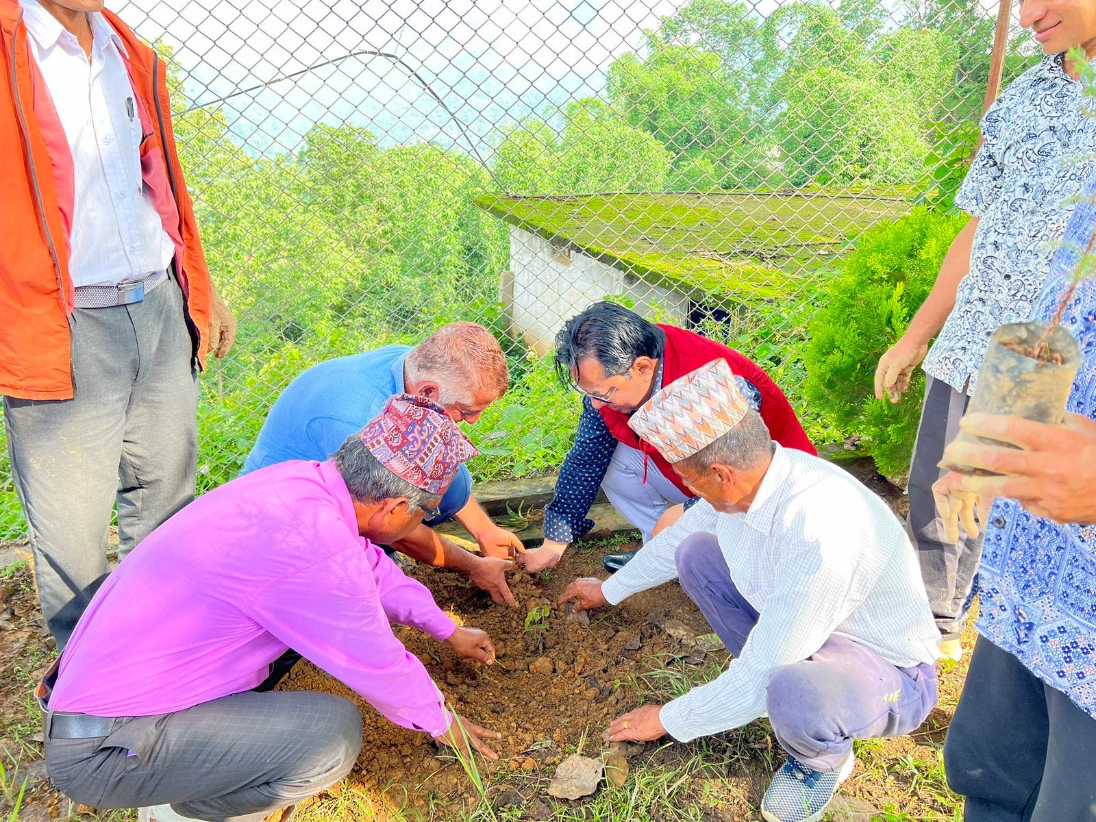 सामाजिक परिवर्तनका लागि नयाँ पाईला नेपालले गर्‍यो सडक र पार्कमा वृक्षारोपण