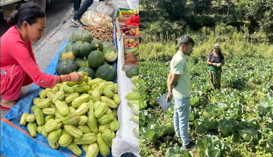 किसानको सारथी बन्दै ईन्प्रेड नेपाल, महाशिला बाट करिब ५० लाखको कृषि वस्तु विक्री