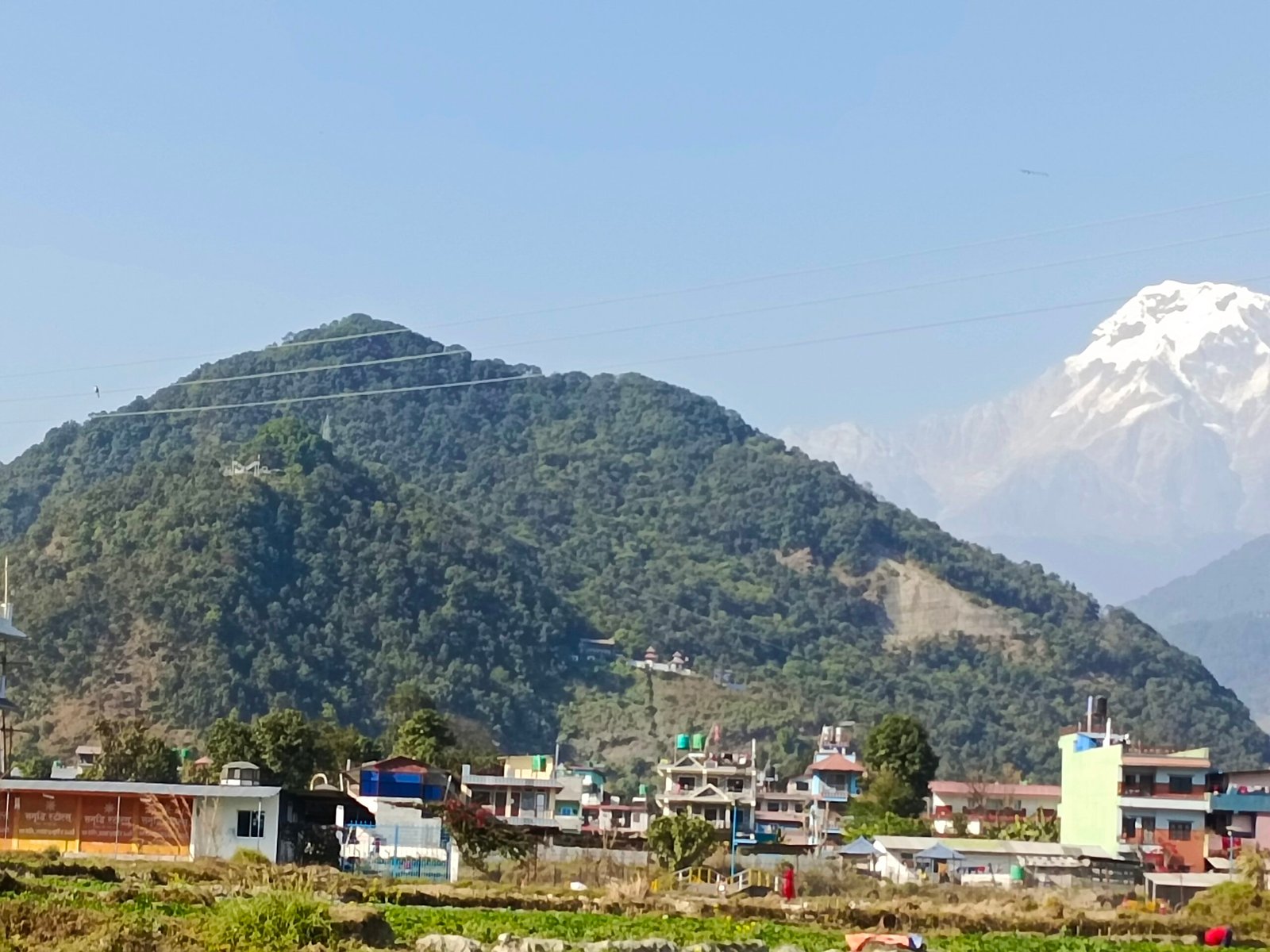 हेम्जाको तिब्रकोट वन लाटोकोसेरो संरक्षण विशेष क्षेत्र घोषणा
