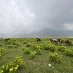 ढोरपाटन एक वर्षमा पुगे २३ हजार पर्यटक