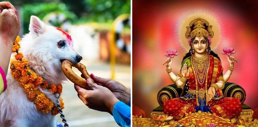 आज लक्ष्मी पुजा र कुकुर तिहार